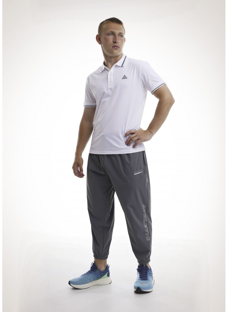 Мужские брюки PEAK ATHLETICS (серый) FW3232281