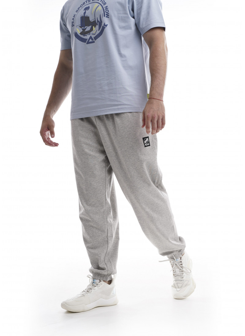 Мужские брюки PEAK LIVE FOR NOW (серый) FW3232299